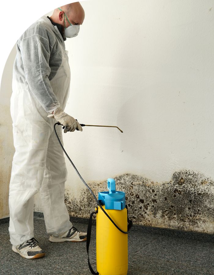 mold removal services Aurora