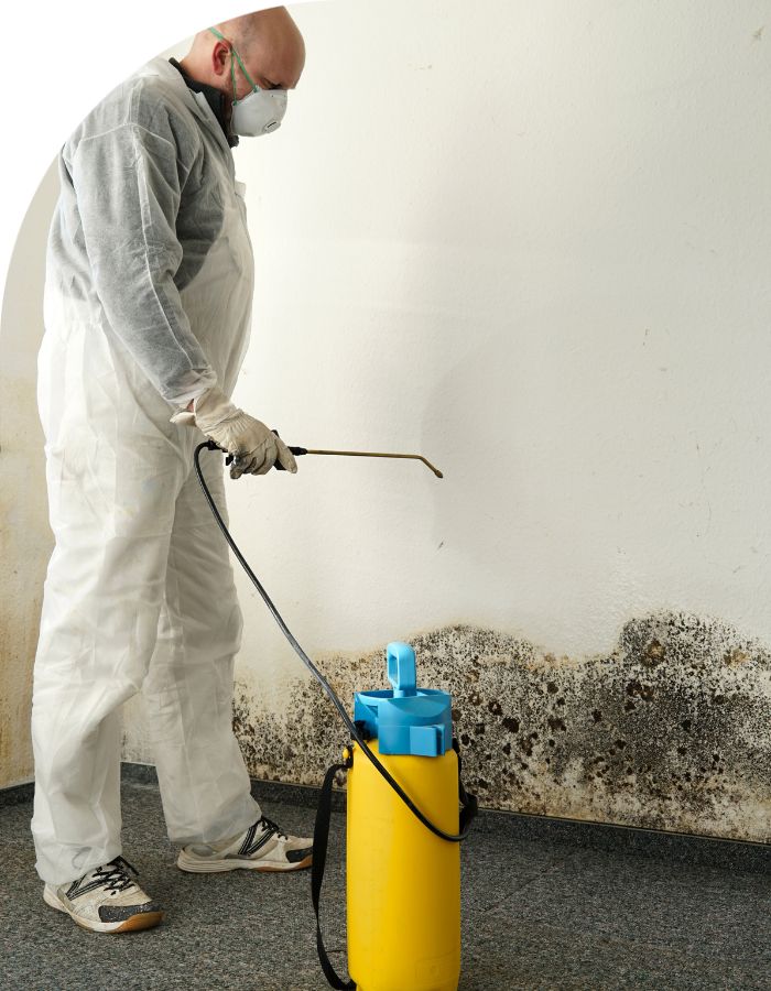 mold remediation in Bolton