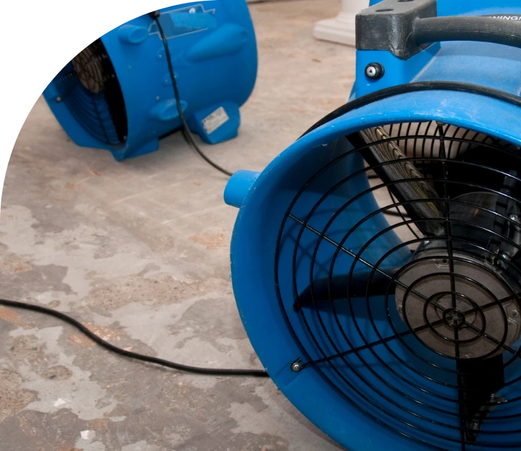 alliston water damage restoration services