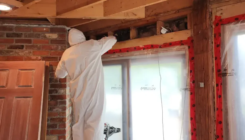types of mould to watch for in Bolton