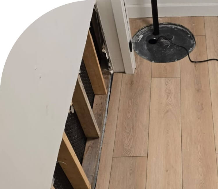 Mould removal services Mississauga