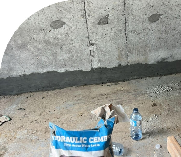 Mould removal services Toronto