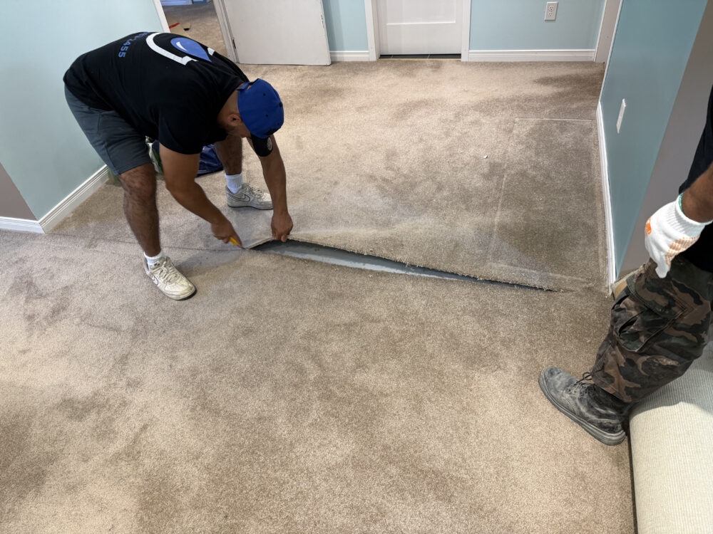 A DGI Waterproofing contractor cutting and removing water-damaged carpet during an emergency basement demolition in North York.